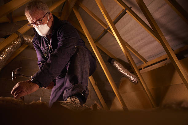 Best Spray Foam Insulation in Carrollton, TX