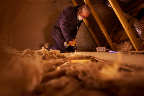Types of Insulation We Offer in Carrollton, TX